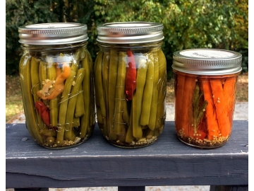 THIS IS A TEST - Do not purchase!